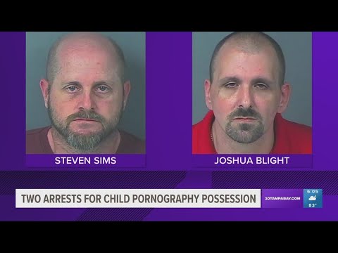 2 Hernando County men arrested, charged for child porn – Tampa Bay News