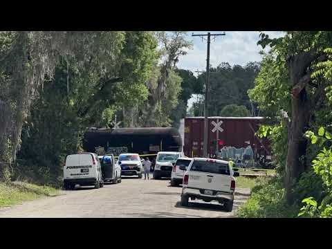Deputies: Person dead after train vs. pedestrian crash in Pasco County ...