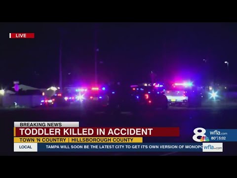 Toddler dies after being hit by car in Hillsborough County – Tampa Bay News