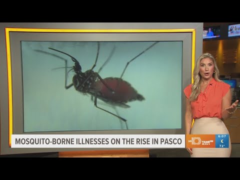 Rise in threat of mosquito-borne illness prompts warning in Pasco County, Florida