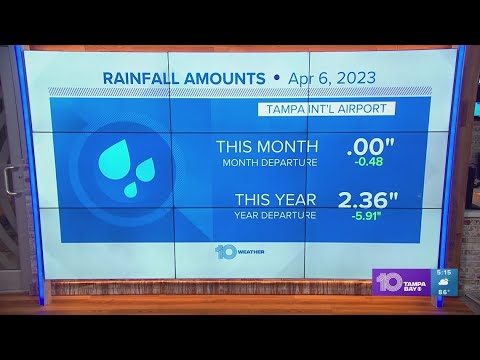 Pasco County under an emergency burn ban because of drought – Tampa Bay ...