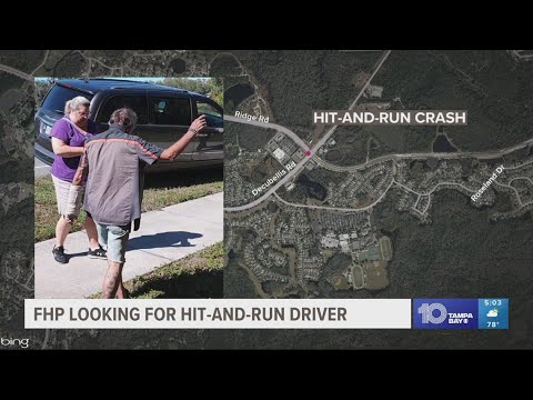 Authorities looking for person involved in Pasco County hit-and-run