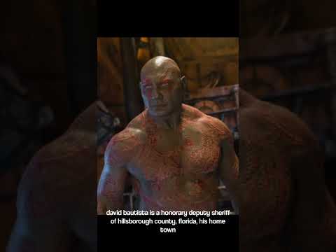 david bautista is a honorary deputy sheriff of hillsborough county, florida, his home town