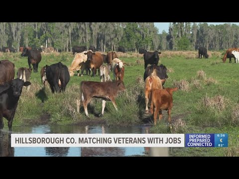 Hillsborough County program matches veterans with new jobs