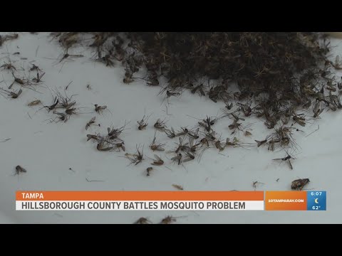 Hillsborough County battles mosquito problem