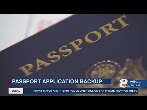 Hillsborough County experiencing influx of passport applications, delays in federal processing