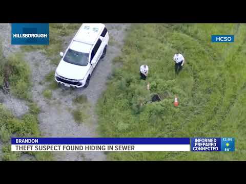 &#39;Nowhere to run&#39;: Hillsborough sheriff&#39;s drone tracks down theft suspect hiding in sewer