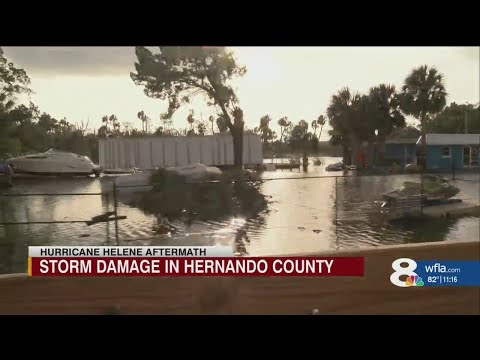 Storm Damage in Hernando County