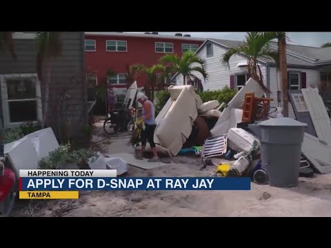 Hundreds line up for D-SNAP site in Hillsborough County