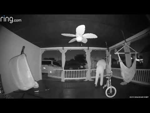 Easter Grinch steals eggs from Pasco County home