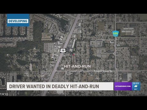 Police looking for driver behind fatal Pasco County hit and run