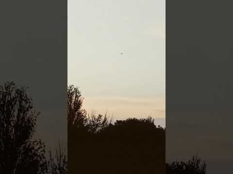 ai neurological weapon&#39;s exposed Hernando County FL V2k sun set