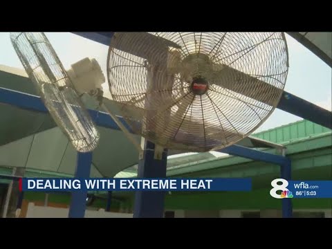 Hillsborough County Pet Resource Center asks for help getting dogs out of heat