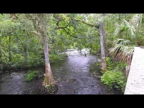 Hillsborough River             #florida #hillsboroughriver #hillsboroughcounty