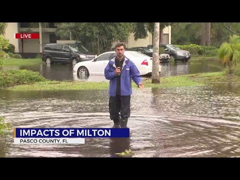 Hurricane Milton&#39;s impact on Pasco County