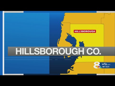 Hillsborough School Board selects interim School Superintendent