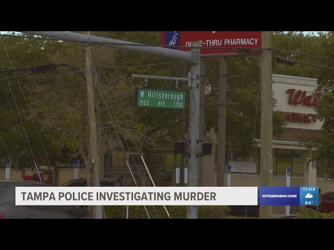 Man found dead on Hillsborough Avenue; Tampa police investigating