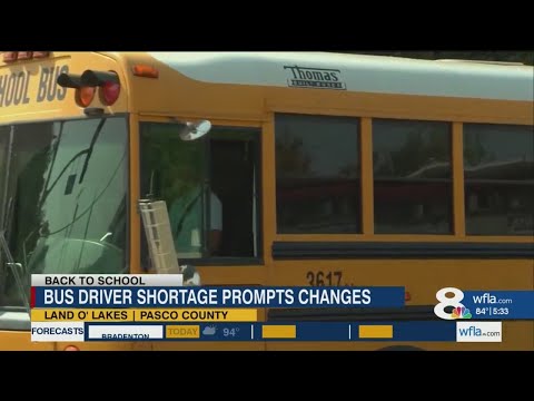 Pasco County Schools&#39; bus pass causing headaches for separated parents