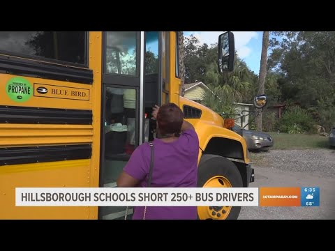 Hillsborough Schools still short of bus drivers. Needs over 250.