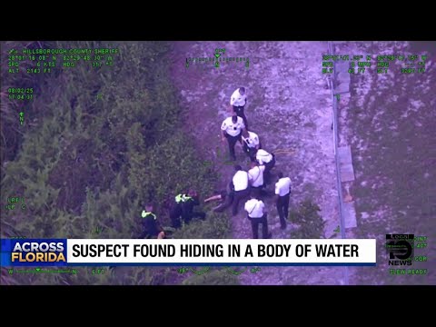 Felony suspect caught trying to hide in the brush in Hillsborough County