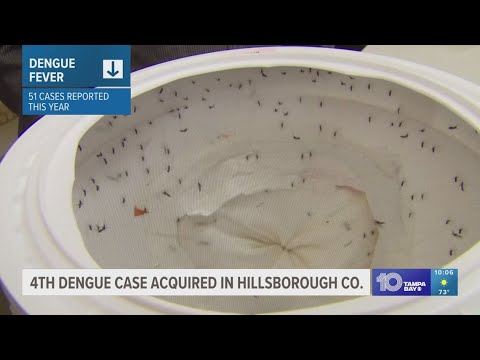 Another dengue fever case reported in Hillsborough County