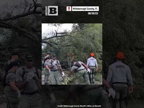 TREE TEAM, ASSEMBLE! Hillsborough Sheriff&#39;s Office REMOVES Downed Trees in Florida