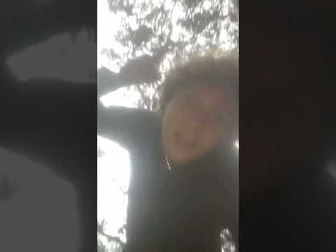 Breaking news: Citrus county rapper stuck in Hurricane Helene #tropica ...