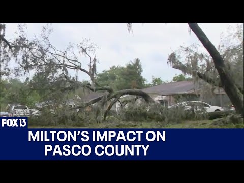 Hurricane Milton&#39;s impact on Pasco County