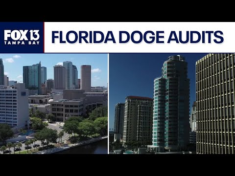 Florida DOGE to inspect Hillsborough, Pinellas counties