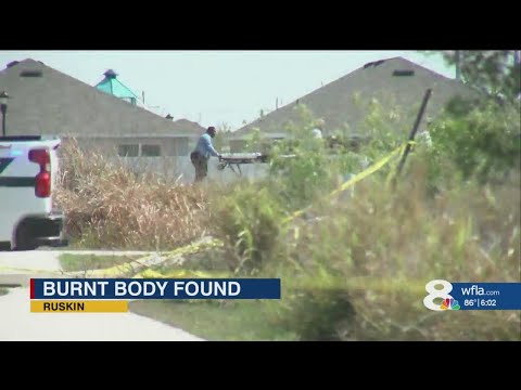 ‘A jarring scene’: Burning body found in Hillsborough County field