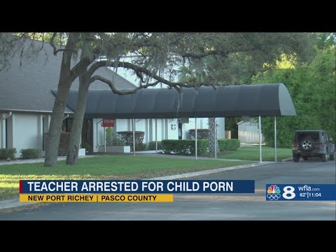 Pasco County teacher arrested for AI-generated child porn