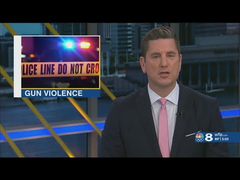Hillsborough State Attorney increasing size of gun violence unit