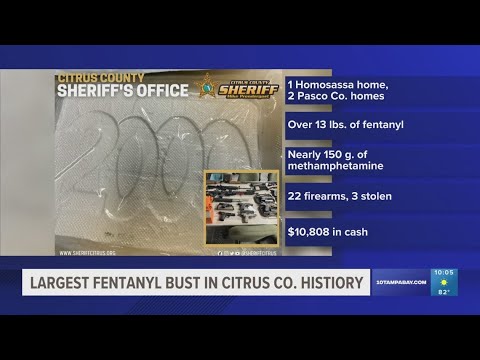 Citrus County deputies seize $735k worth of narcotics