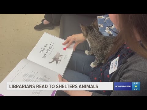 Hillsborough County librarians read to shelter animals