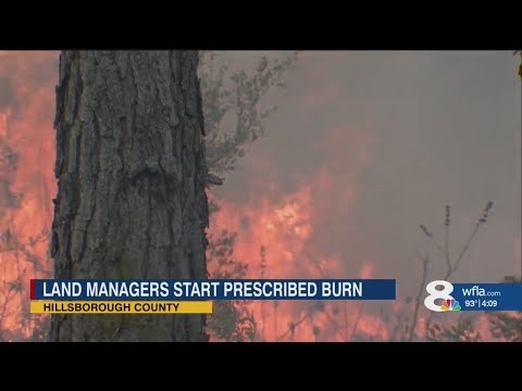 Land managers complete prescribed burn in Hillsborough County park