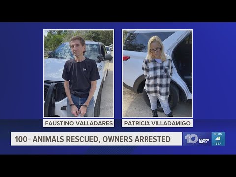 Over 100 neglected animals found on Citrus County couple’s property, sheriff says