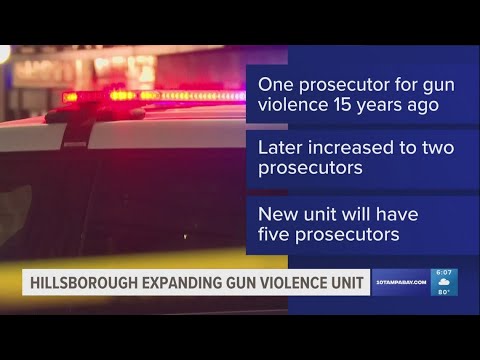 Hillsborough County to expand gun violence unit