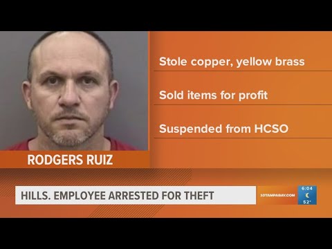 Hillsborough sheriff employee arrested for theft