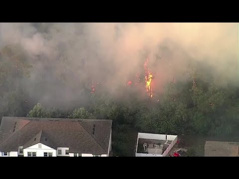 Massive brush fire out after burning close to Pasco County homes