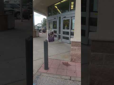 Entering @walgreens | Land O Lakes, Florida | Pasco County