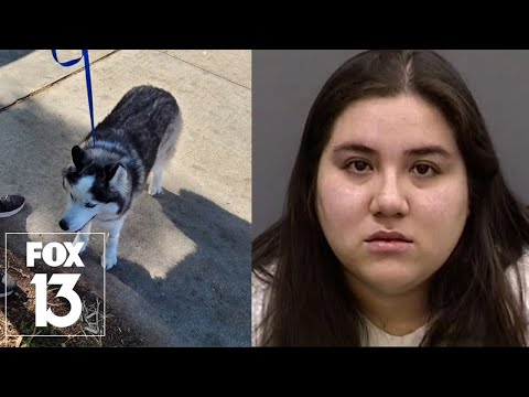 Hillsborough sheriff petitioning to prevent animal cruelty suspect from adopting, living with a pet