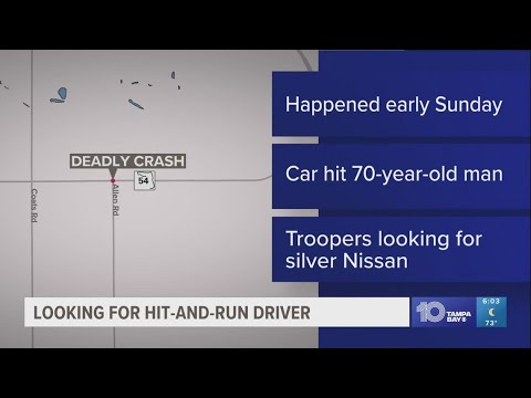 FHP looking for driver in deadly Pasco County hit-and-run