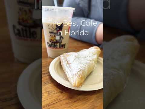 The Cattle Dog Is Said To Be The Best Cafe In Florida- Citrus County