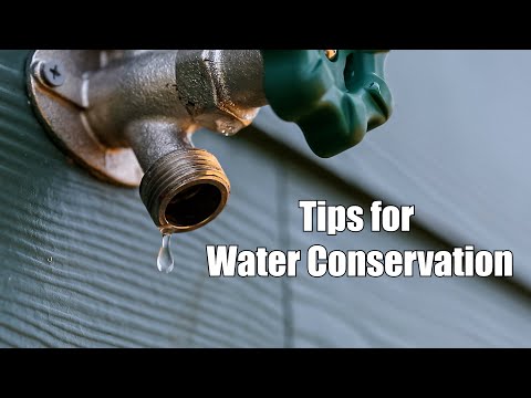 Tips for Water Conservation from Hillsborough County