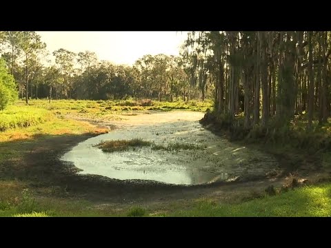 Hillsborough County leaders to make re-zoning decision on former New Tampa golf course