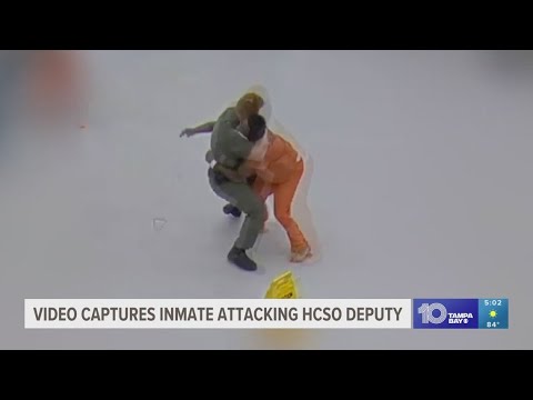 Video captures inmate attacking deputy at Hillsborough County jail