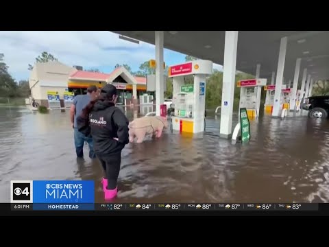 Hillsborough County deputies, neighbors team up for Hurricane Milton rescues