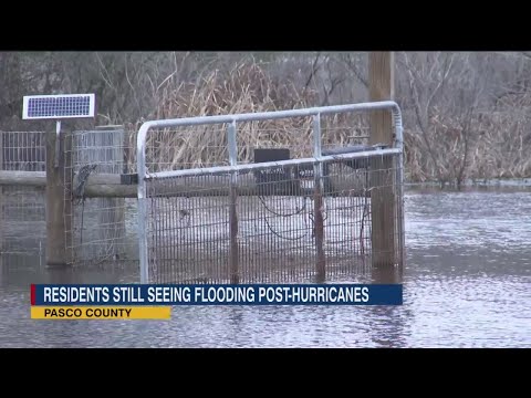 Pasco residents pleading for help with pumping out floodwaters 4 months after hurricane