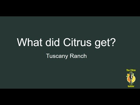 Tuscany Vote... Did Citrus come out on top?