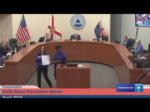 Commissioners debate half-penny sales tax referendum to go on Hillsborough ballots in November